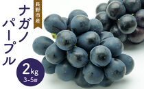 ナガノパープル2kg　3-5房