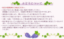 クイーンルージュ2kg　3-5房