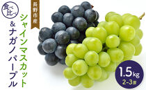 【セット】シャインマスカット＆ナガノパープル&nbsp;1.5kg&nbsp;2-3房