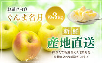 ぐんま名月3kg&nbsp;|&nbsp;&nbsp;りんご&nbsp;フルーツ&nbsp;果物&nbsp;&nbsp;人気&nbsp;おすすめ&nbsp;ギフト&nbsp;プレゼント&nbsp;送料無料&nbsp;長野県&nbsp;長野市&nbsp;信州&nbsp;信濃&nbsp;ふるさと納税