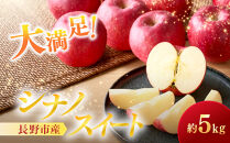 シナノスイート5kg&nbsp;|&nbsp;りんご&nbsp;フルーツ&nbsp;果物&nbsp;人気&nbsp;おすすめ&nbsp;ギフト&nbsp;プレゼント&nbsp;送料無料&nbsp;長野県&nbsp;長野市&nbsp;信州&nbsp;信濃&nbsp;ふるさと納税