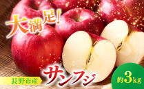 サンふじ3kg&nbsp;|&nbsp;&nbsp;りんご&nbsp;フルーツ&nbsp;果物&nbsp;サンふじ&nbsp;人気&nbsp;おすすめ&nbsp;ギフト&nbsp;プレゼント&nbsp;送料無料&nbsp;長野県&nbsp;長野市&nbsp;信州&nbsp;信濃&nbsp;ふるさと納税