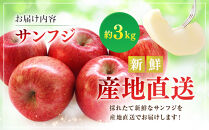 サンふじ3kg&nbsp;|&nbsp;&nbsp;りんご&nbsp;フルーツ&nbsp;果物&nbsp;サンふじ&nbsp;人気&nbsp;おすすめ&nbsp;ギフト&nbsp;プレゼント&nbsp;送料無料&nbsp;長野県&nbsp;長野市&nbsp;信州&nbsp;信濃&nbsp;ふるさと納税