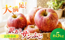 サンふじ（訳あり）5kg&nbsp;|&nbsp;&nbsp;りんご&nbsp;フルーツ&nbsp;果物&nbsp;サンふじ&nbsp;訳あり&nbsp;人気&nbsp;おすすめ&nbsp;ギフト&nbsp;プレゼント&nbsp;送料無料&nbsp;長野県&nbsp;長野市&nbsp;信州&nbsp;信濃&nbsp;ふるさと納税