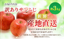 サンふじ（訳あり）3kg&nbsp;|&nbsp;&nbsp;りんご&nbsp;フルーツ&nbsp;果物&nbsp;サンふじ&nbsp;訳あり&nbsp;人気&nbsp;おすすめ&nbsp;ギフト&nbsp;プレゼント&nbsp;送料無料&nbsp;長野県&nbsp;長野市&nbsp;信州&nbsp;信濃&nbsp;ふるさと納税
