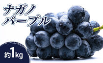 2026年産先行予約ナガノパープル&nbsp;1kg&nbsp;果物&nbsp;フルーツ&nbsp;ぶどう&nbsp;長野県