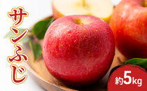 2026年産先行予約サンふじ&nbsp;5kg&nbsp;果物&nbsp;フルーツ&nbsp;りんご&nbsp;長野県