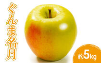 2026年産先行予約ぐんま名月5kg&nbsp;果物&nbsp;フルーツ&nbsp;りんご&nbsp;長野県