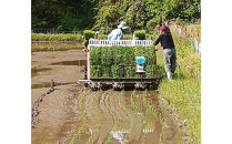 【令和7年産】有機肥料米ナオちゃんのお米【出雲市産きぬむすめ】5kg（1袋）美味しい&nbsp;お米&nbsp;精米&nbsp;有機栽培&nbsp;出雲市産