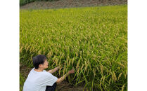 【令和7年産】有機肥料米ナオちゃんのお米【出雲市産きぬむすめ】5kg（1袋）美味しい&nbsp;お米&nbsp;精米&nbsp;有機栽培&nbsp;出雲市産