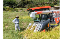【令和7年産】有機肥料米ナオちゃんのお米【出雲市産きぬむすめ】5kg（1袋）美味しい&nbsp;お米&nbsp;精米&nbsp;有機栽培&nbsp;出雲市産