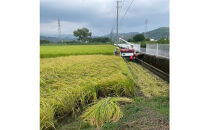 【令和7年産】静岡県産こしひかり2kg/栽培期間中農薬不使用