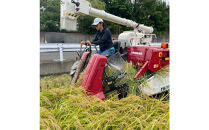【令和7年産】静岡県産こしひかり2kg/栽培期間中農薬不使用