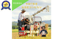 令和7年産コシヒカリ　精米（無洗米）５kg　農家直送　佐渡市いのまた米