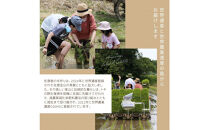 令和7年産コシヒカリ　精米（無洗米）3kg　農家直送　佐渡市いのまた米