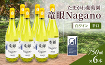 ワイン　竜眼Nagano　【GI長野】認定　750ｍｌ×6本