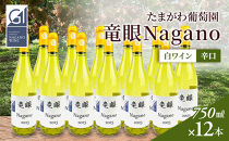 ワイン　竜眼Nagano　【GI長野】認定　750ｍｌ×12本