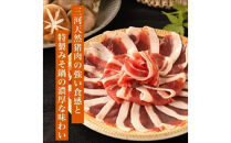 ぼたん味噌鍋セット