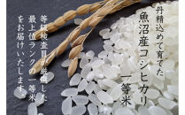 《&nbsp;令和7年産&nbsp;&nbsp;》&nbsp;定期便&nbsp;5kg&nbsp;×&nbsp;6ヶ月&nbsp;魚沼産コシヒカリ&nbsp;一等米