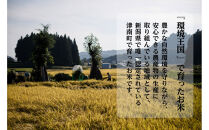 《&nbsp;令和7年産&nbsp;&nbsp;》&nbsp;定期便&nbsp;5kg&nbsp;×&nbsp;6ヶ月&nbsp;魚沼産コシヒカリ&nbsp;一等米