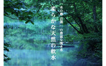《&nbsp;令和7年産&nbsp;&nbsp;》&nbsp;定期便&nbsp;5kg&nbsp;×&nbsp;6ヶ月&nbsp;魚沼産コシヒカリ&nbsp;一等米