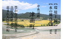 《&nbsp;令和7年産&nbsp;&nbsp;》&nbsp;定期便&nbsp;5kg&nbsp;×&nbsp;12ヶ月&nbsp;魚沼産コシヒカリ&nbsp;一等米