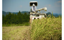 《&nbsp;令和7年産&nbsp;&nbsp;》&nbsp;定期便&nbsp;5kg&nbsp;×&nbsp;12ヶ月&nbsp;魚沼産コシヒカリ&nbsp;一等米