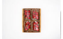 いちご　紅ほっぺ　約1kg（250g×4パック）