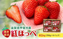いちご　紅ほっぺ　約1kg（250g×4パック）