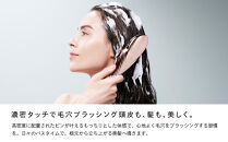 【ブラック】リファイオンケアブラシプレミアム