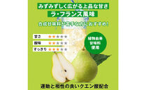 ハルクファクター&nbsp;BCAA&nbsp;人工甘味料不使用&nbsp;ラフランス風味&nbsp;500g&nbsp;クエン酸&nbsp;βアラニン配合&nbsp;国産&nbsp;アミノ酸&nbsp;粉末ドリンク&nbsp;サプリ&nbsp;パウダー