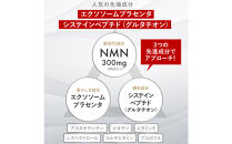 ハルクファクター&nbsp;タイムリリース&nbsp;NMN&nbsp;サプリ&nbsp;62粒&nbsp;高純度100％&nbsp;日本製&nbsp;9300mg&nbsp;マルチビタミン12種&nbsp;レスベラトロール&nbsp;植物性カプセル&nbsp;栄養機能食品