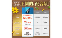ハルクファクター&nbsp;イヌリン&nbsp;65,500mg&nbsp;水溶性&nbsp;食物繊維&nbsp;大容量&nbsp;300粒&nbsp;国内製造&nbsp;カテキン&nbsp;菊芋&nbsp;ビフィズス菌&nbsp;乳酸菌&nbsp;酵素&nbsp;サラシア&nbsp;ビタミン&nbsp;全391種&nbsp;サプリ&nbsp;錠剤