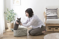 メッシュペットキャリー&nbsp;MPC-450&nbsp;ライトグレー