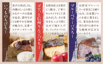 【3か月連続お届け】バスクチーズケーキ専門店ＭＯＮのバスちー３種（いつものちびちー・ゴロっと信州りんごバスちー・ブルーベリーバスちー）毎月1種ずつお届け！（12cm/ホール）&nbsp;|&nbsp;&nbsp;ケーキ&nbsp;チーズケーキ&nbsp;バスクチーズケーキ&nbsp;フルーツ&nbsp;定期便&nbsp;りんご&nbsp;ブルーベリー&nbsp;食べ比べ&nbsp;人気&nbsp;おすすめ&nbsp;デザート&nbsp;ギフト&nbsp;プレゼント&nbsp;おすすめ&nbsp;人気&nbsp;送料無料&nbsp;長野県&nbsp;長野市&nbsp;信州&nbsp;信濃&nbsp;ふるさと納税