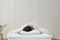 こだわりマットレス付き布団１０点セット&nbsp;KFS-KM10S&nbsp;ホワイト