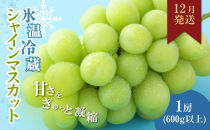 信州産シャインマスカット（12月発送）　冷蔵1房(600g以上)大粒&大房