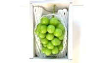 信州産シャインマスカット（12月発送）　冷蔵1房(600g以上)大粒&大房