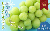 信州産シャインマスカット（12月発送）　冷蔵2房(合計1.1kg以上)大粒&大房
