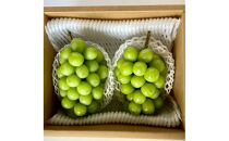 信州産シャインマスカット（1月発送）　冷蔵2房(合計1.1kg以上)大粒&大房