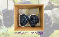 信州産ナガノパープル　2房（合計1kg以上）【大粒＆大房】（9月発送）