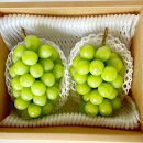 信州産シャインマスカット2房（合計1kg以上）【大粒＆大房】