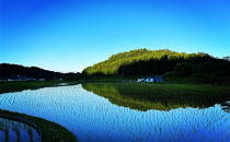 信州長野市芋井産&nbsp;あきたこまち&nbsp;5kg