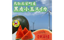  おすすめ [先行予約]黒皮小玉スイカ 訳あり 鳥取県北栄町産 農家指定(こちらの返礼品は、大栄西瓜ではありません)