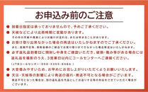 【先行予約】黒皮小玉スイカ&nbsp;訳あり&nbsp;鳥取県北栄町産&nbsp;農家指定（こちらの返礼品は、大栄西瓜ではありません）