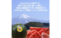 【先行予約】黒皮小玉スイカ&nbsp;訳あり&nbsp;鳥取県北栄町産&nbsp;農家指定（こちらの返礼品は、大栄西瓜ではありません）