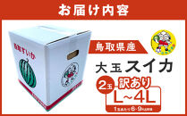 【先行予約】鳥取県北栄町産&nbsp;大玉スイカ&nbsp;訳あり(2玉セット)１玉あたり6-9キロ前後L-4L（こちらの返礼品は、大栄西瓜ではありません）