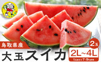 【先行予約】鳥取県北栄町産&nbsp;大玉スイカ(2玉セット)１玉あたり7-9キロ前後2L-4Lサイズ（こちらの返礼品は、大栄西瓜ではありません）