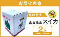 【先行予約】鳥取県北栄町産&nbsp;金色羅皇スイカ(2玉セット)１玉あたり7-9キロ前後（こちらの返礼品は、大栄西瓜ではありません）