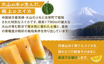 【先行予約】鳥取県北栄町産&nbsp;金色羅皇スイカ(2玉セット)１玉あたり7-9キロ前後（こちらの返礼品は、大栄西瓜ではありません）